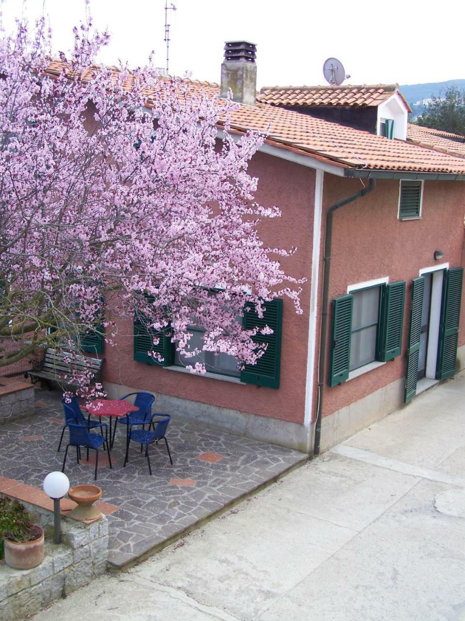 Appartamenti Gli Alberi Capoliveri  Exterior photo